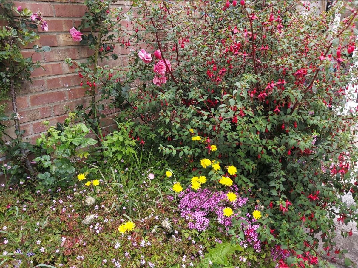 Gorgeous Holiday home Gorleston-On-Sea
